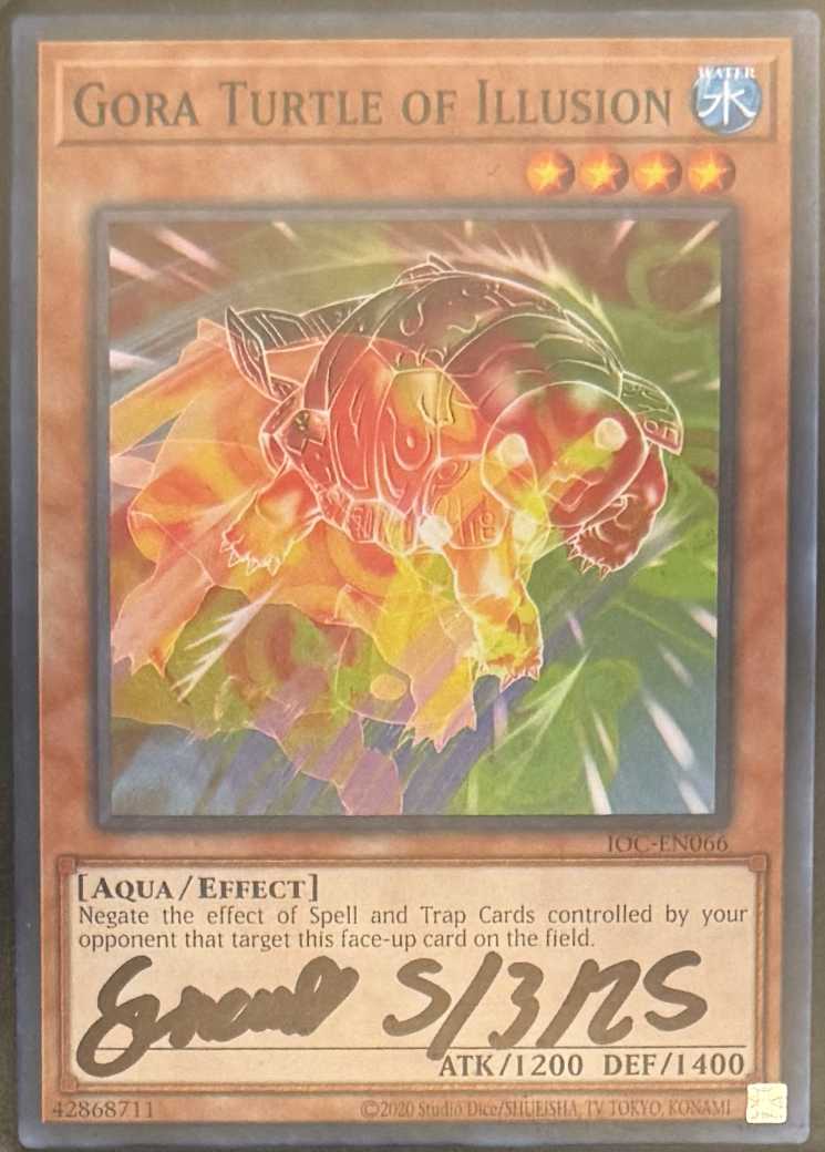Gora Turtle of Illusion