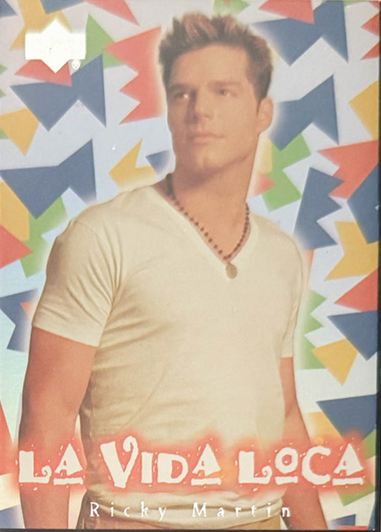 La Vida Loca (Ricky Martin)